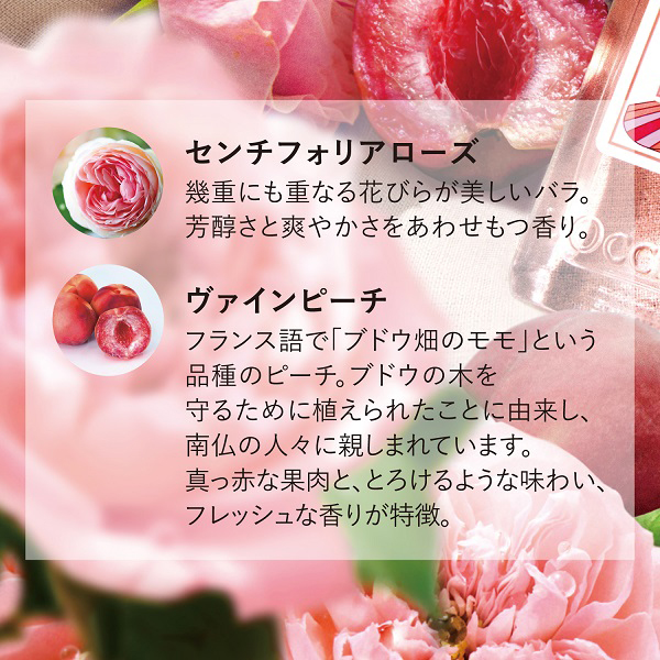 ローズヴァインピーチ ネイルオイル / 7.5mL 1