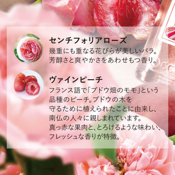 ローズヴァインピーチ ボディクリーム / ロクシタン(ボディクリーム 