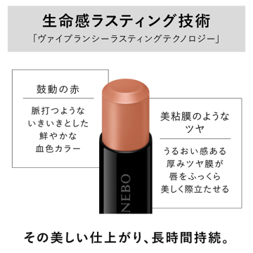ルージュスターヴァイブラント 05