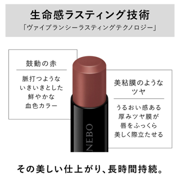 ルージュスターヴァイブラント 05