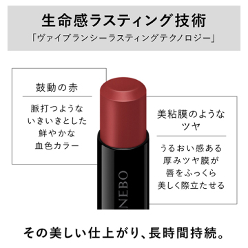 ルージュスターヴァイブラント 05
