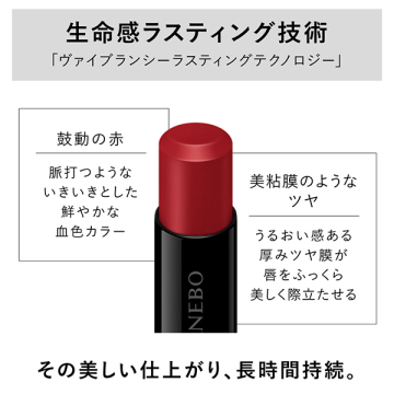ルージュスターヴァイブラント 05