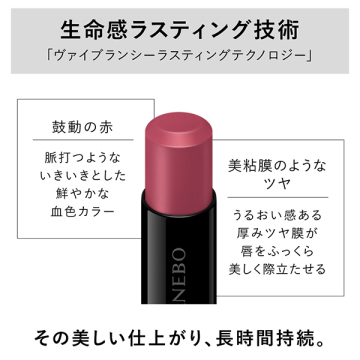 ルージュスターヴァイブラント 05