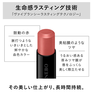 ルージュスターヴァイブラント 05