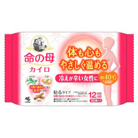 カイロ / 貼るタイプ / 10個入り