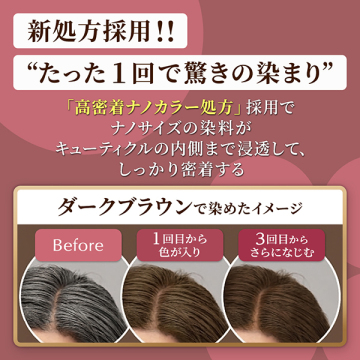 カラートリートメント 全体用 02