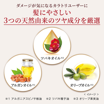 カラートリートメント 全体用 05