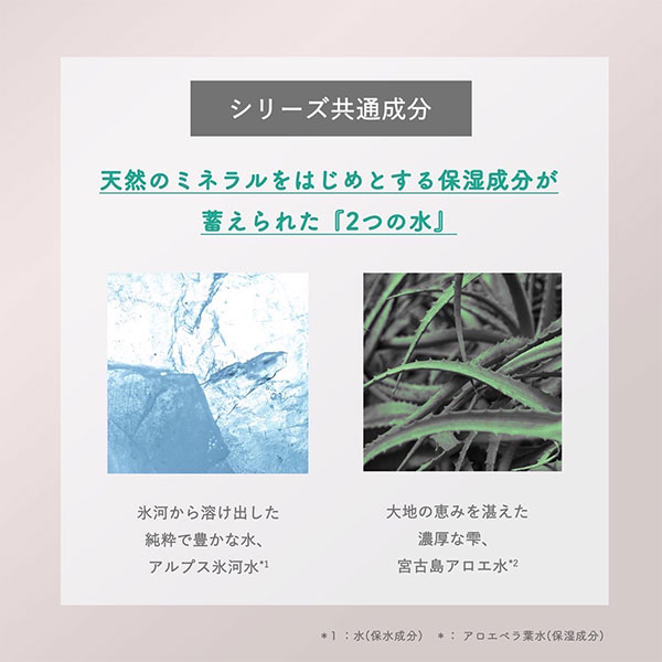 クリーミィウォッシュG / スパトリートメント(洗顔フォーム