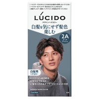 デザインヘアカラー / クールアッシュ / 1セット