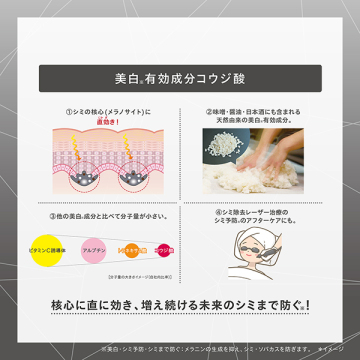 メラノショット W ラージサイズ 限定キット 03