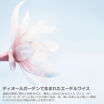 ディオール スノー エッセンス オブ ライト セラム(薬用美容液)[医薬部外品] 03