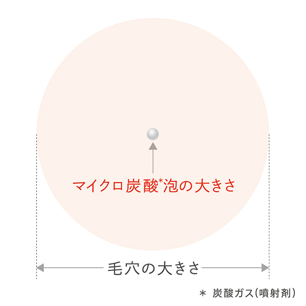 Amazon.co.jp: est(エスト) AC ピュリファイ マッサージ