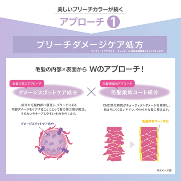 スティーブンノル ブリーチケアマスター トライアル 04