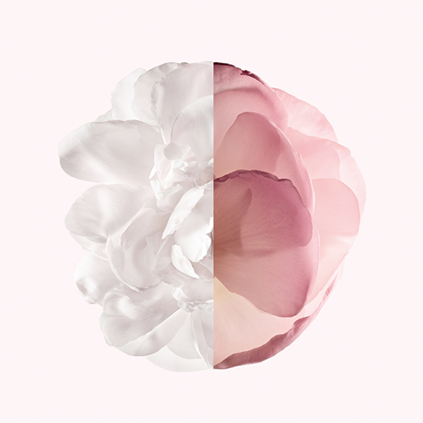 イレジスティブル オーデパルファム ヴェリィフローラル / ジバンシイ