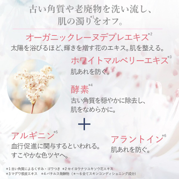 レーヌブランシュ ベーシック 03