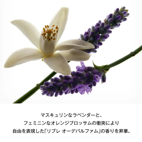 数量限定】リブレ ハンドクリーム ギフト セット / イヴ・サンローラン