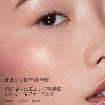 ブラッシュ N 04