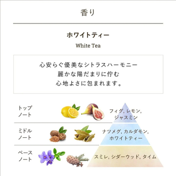 ボディスクラブ ホワイトティー 04