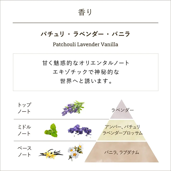 ボディスクラブ パチュリ・ラベンダー・バニラ / 600g / パチュリ・ラベンダー・バニラ 1