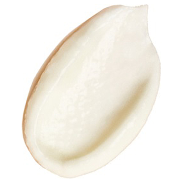 アンブリオリス マッティファイング モイスチャライザー