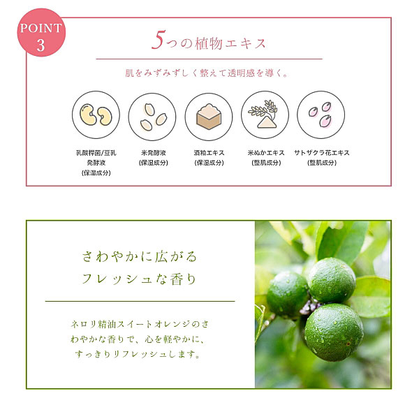 3種類発酵液マスク エイジングケア / DR.MORITA(フェイス用シート