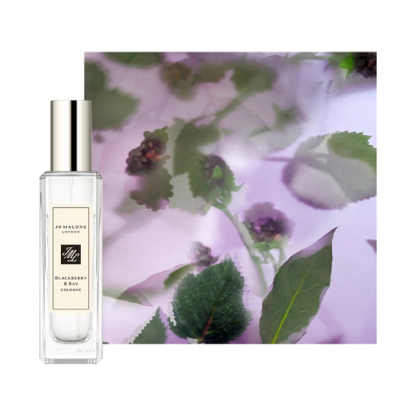 ブラックベリー & ベイ 限定 セット / Jo Malone London(ジョー
