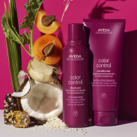 カラー コントロール シャンプー / AVEDA(アヴェダ)(シャンプー