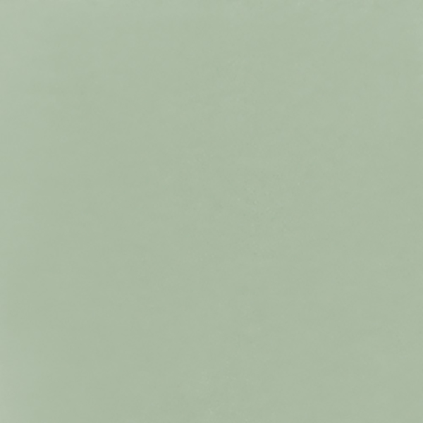 ザ ネイルポリッシュ + / 110C Succulent Green / 12mL 1