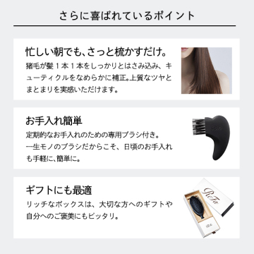 リファ ブリッスル 05