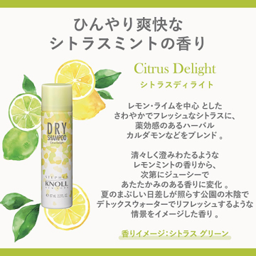 ドライ シャンプー N 03