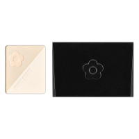 【数量限定】フェイスファイナル ブライト アップ パウダー 02× カラー パレット L / 本体 / 12g
