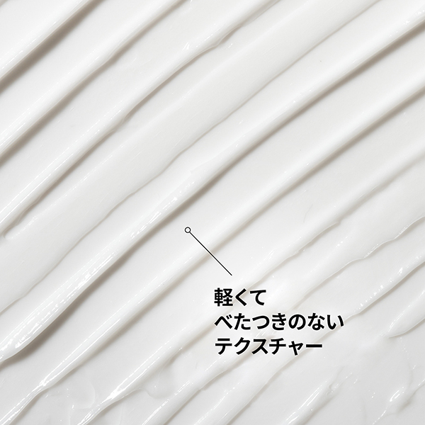 ナチュラルモイスチャライジングファクター+ヒアルロン酸*(NMF+