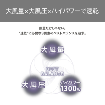 プロテクトイオンヘアドライヤー 02