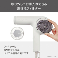 プロフェッショナル プロテクトイオン ヘアードライヤー / テスコム