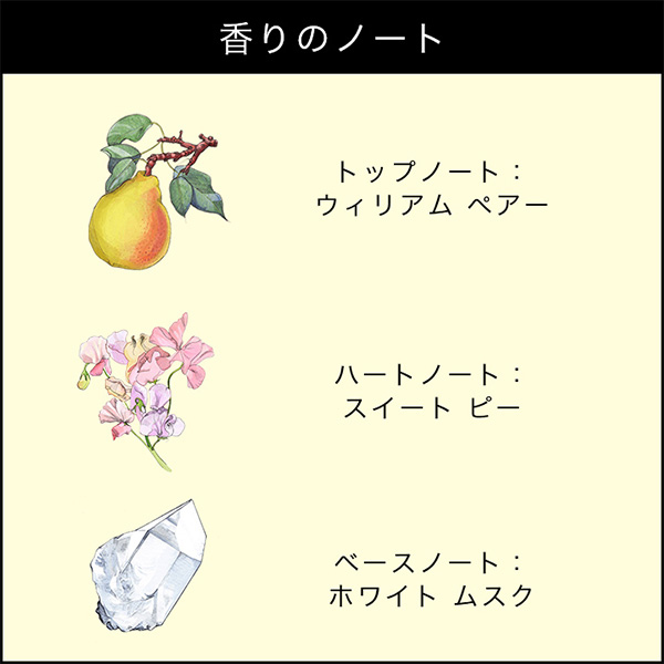 イングリッシュ ペアー & スイート ピー コロン / 30mL 1