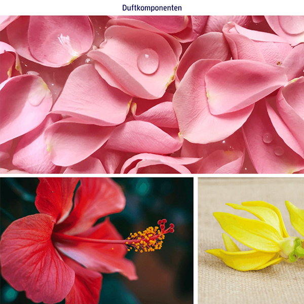 アロマブースターバブルバスミニセット / ドレスナーエッセンス(入浴剤