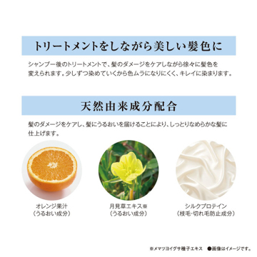 エブリカラートリートメント 03
