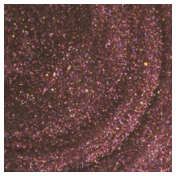 ネイルカラー / S057 / 11ml 1