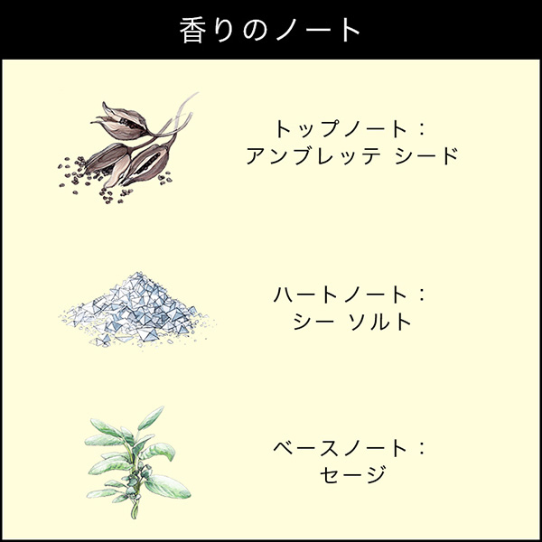 ウッド セージ & シー ソルト セント サラウンド(TM ウッド セージ & シー ソルト セント サラウンド(TM