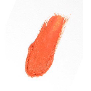 PLUMPING LIPSTICK 02