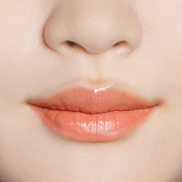 PLUMPING LIPSTICK / DIDION(口紅, メイクアップ)の通販 - アット