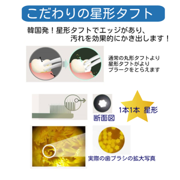 エコ歯ブラシ 6℃ ECO 03