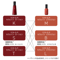 乳液・ミルク est G.P. SERUM IN EMULSION L 120ml G.P. セラムイン エマルジョン L / エスト(乳液, スキンケア・基礎