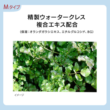 G.P. セラムイン エマルジョン M 04