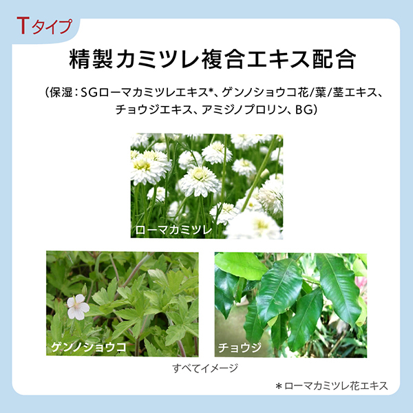 G.P. セラムイン ローション T / エスト(化粧水, スキンケア・基礎