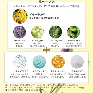 ファイブハーブス スカルプナイトセラム 02