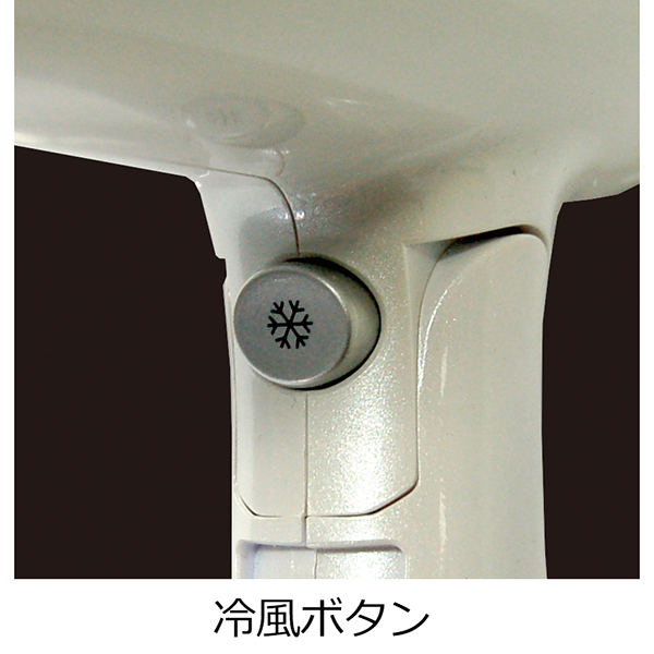 マルチボルテージヘアードライヤー / カシムラ(ドライヤー, 美容家電