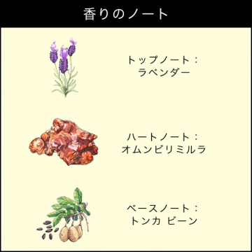ミルラ & トンカ コロン インテンス 03