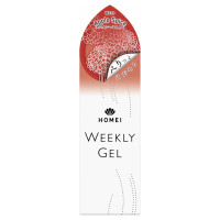 WF39 Apple Spice / 10ml