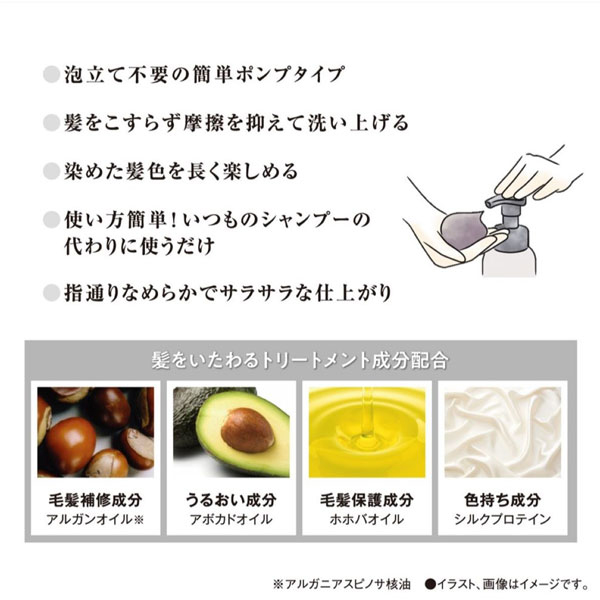 エブリカラーフォームシャンプー / アッシュベージュ / 250ml / 本体 1